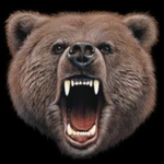 Logo of Bears Wallpapers android Application 