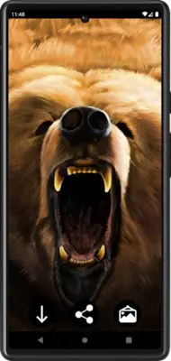 Bears Wallpapers android App screenshot 4